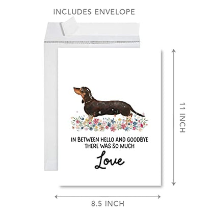 Andaz Press Jumbo Pet Sympathy Card with Envelope, Sorry For Your Loss Card, Dachshund, Loss Of Pets, Dog Grief Bereavement Card with Big Blank Space to Send to Friends, Family, 8.5" x 11", 1-Pack - color: Dachshund