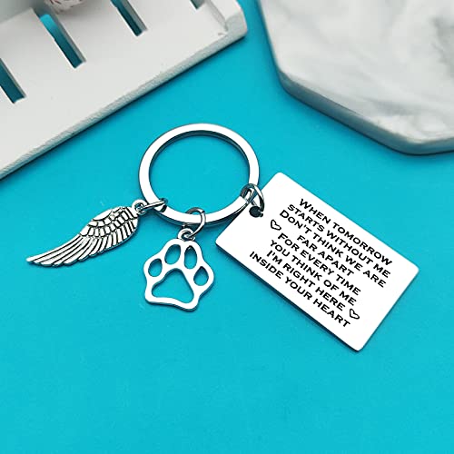 Xiahuyu Pet Memorial Gifts Keychain Pet Loss Gifts Loss of Dog or Cat Memorial Gift Remembrance Gift In Memory of Dog Cat Sympathy Keychain for Loss of Pet