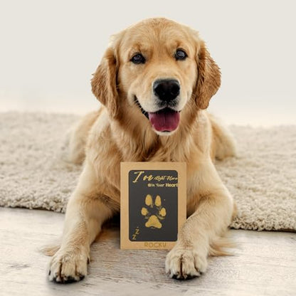 DeerZone Inkless Paw Print Kit,Dog Paw Print Kit,Dog Nose Print Kit - color: Gold/Silver, size: Medium-Large 4 Pack