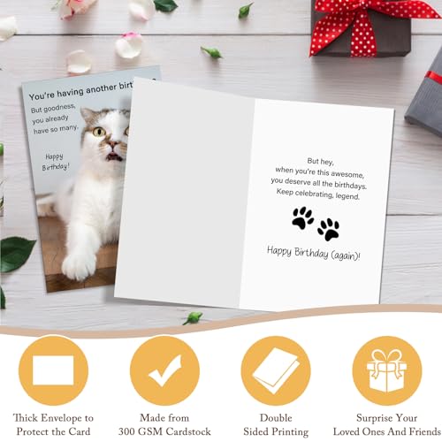 Qiliji Hilarious Cat Birthday Card for Him Her, Lovely Happy Birthday Card for Cat Lover, Funny Cats Mom or Cats Dad Bday Cards - color: Cat Birthday