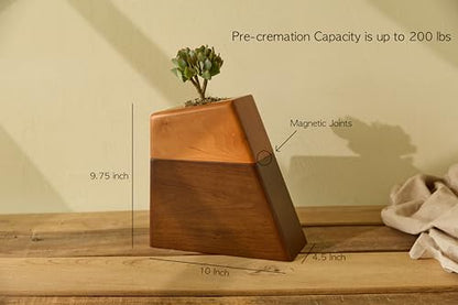 AspenStudio Plant Urn for Adult Human Ashes Cremation Wooden Urn by Aspen Studio
