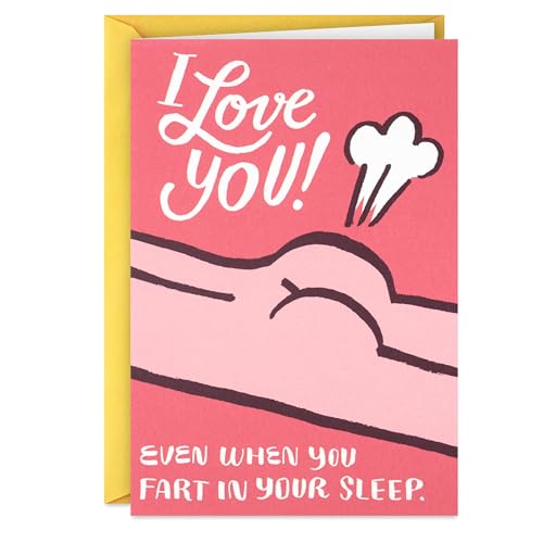 Hallmark Shoebox Funny Love Card (Fart in Your Sleep) | Cheeky Cartoon Artwork, Coordinating Envelope Included, High Quality Paper Stock, Card Measures 5 X 7.2 in - color: Fart in Your Sleep