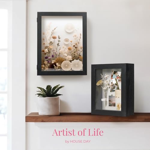 HOUSE DAY 11x14 Deep Shadow Box Frame with Linen Back, Pins, Black - color: Black, size: 11x14