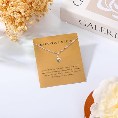 Baydurcan Pendant Necklace for Women Friends Sister Birthday Christmas Gift | Silver Evil Eye Ankh Mary Friendship Dragonfly Hummingbird Snake Turtle Pendant Necklace for Her Just Because Gifts - style: Snake