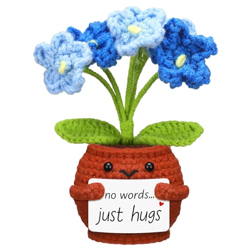 Janinka Sympathy Gift Loss of Loved One,Blue Forget Me Not Flower,Just Hug - color: Blue Forget Me Not Flower, style: Just Hugs