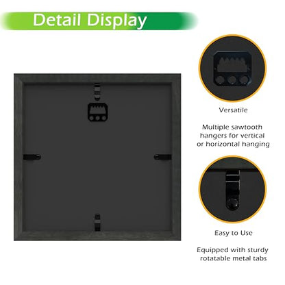 FrameWorks 8x8 Driftwood Wooden Shadow Box Frame – Soft Felt Back, Tempered Glass, and Included Elegant White Ball Push Pins - color: Black Driftwood, size: 8"x8"