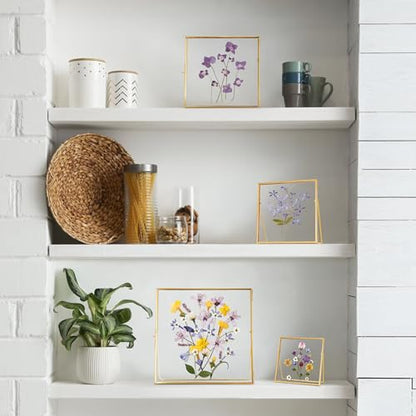 REDHUGO Double Glass Frame for Pressed Flowers, Square, Gold, 8x8 Inches - color: Gold, size: 8L" x 8W"