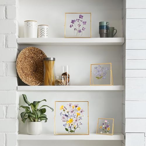 REDHUGO Double Glass Frame for Pressed Flowers, Square, Gold, 6x6 Inches - color: Gold, size: 6L" x 6W"