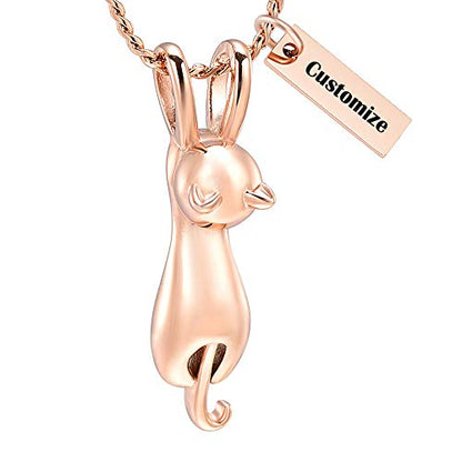 Imrsanl Pet Cremation Jewelry for Ashes Cat Urn Necklace - color: Customize