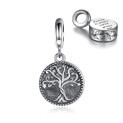 Sterling Silver Cremation Urn Bead Charm for Ashes - S925 Holds Ash Keepsake Pendant Family Tree of Life Memorial Jewelry Gifts for Women Loss Loved One - color: Tree of Life