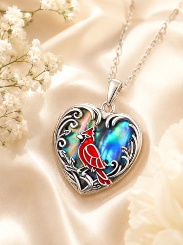 JKR Heart Picture Locket Necklace for Women That Holds Pictures Jewelry | Memorial Necklace with Picture Anniversary Birthday Gift for Women Wife Mom Girlfriend - color: Cardinal