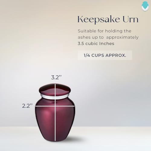 Embrace Keepsake Personalized Butterfly Cremation Urns for Human Ashes I Cherry Purple Funeral Urn for Men and Women with Double Side Engraving I 3.5 lbs - color: Cherry Purple