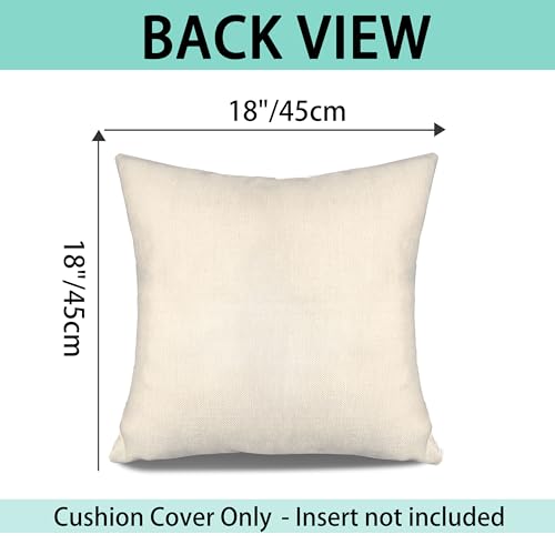 Brother Gift Ideas Reminder Throw Pillow Covers for Brother Birthday Graduation Thanksgiving - color: Brother