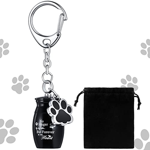 Tudomro Cremation Pet Dog Urns Keychain for Ashes with Storage Bag Stainless Steel Small Cat Paw Memorial Keepsake Jewelry - color: Black
