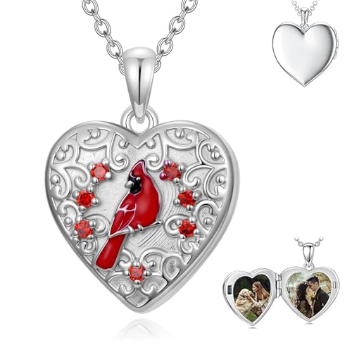Dorunmo Personalized Locket Necklace 925 Sterling Silver that Holds Pictures Butterfly Birthstone Photo Heart Locket Custom Jewelry Congratulations New Beginnings New Job Gifts for Women - color: Cardinal, style: Personalized Photo + Text