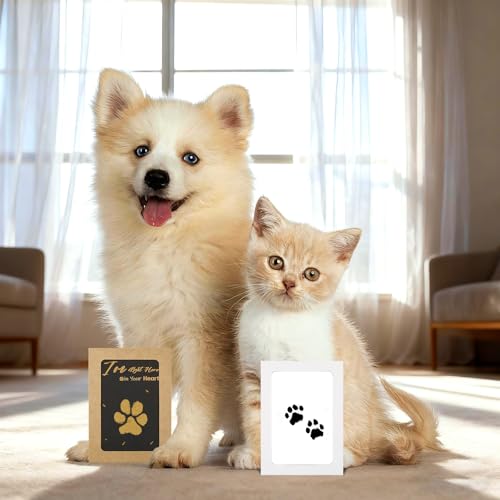 DeerZone Inkless Paw Print Kit,Dog Paw Print Kit,Dog Nose Print Kit - color: Gold/Black, size: Small-Medium 4 Pack