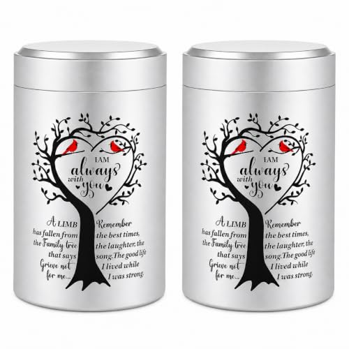 Set of 2 Small Urns for Human Ashes Keepsake, 3.62 Inch Mini Cremation Urns for Human Ashes, Memorial Funeral Sharing Keepsake Urns Set with Two Cardinal Birds, Silver