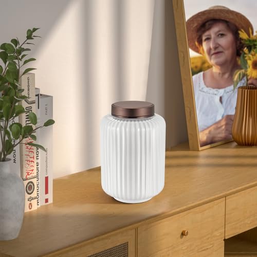 SOITIS Small Urns for Human Ashes 4.5 Inch Sharing Ceramic Urn for Ashes Mini Urns for Human Ashes Keepsake Urn for Human Ashes Funeral Memorial Holder White Urn for Women Men