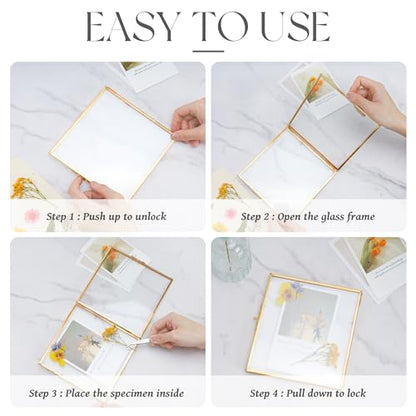 REDHUGO Double Glass Frame for Pressed Flowers, Square, Gold, 4x4 Inches - color: Gold, size: 4L" x 4W"