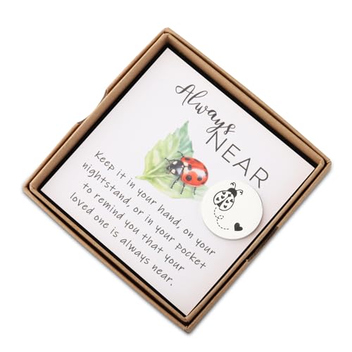 CENWA Loss of A Loved One Ladybug Memorial Gift - Ladybug Token & Wish Jewelry