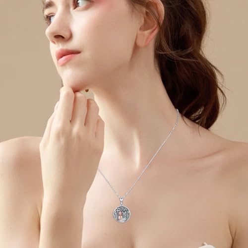 Locket Necklace for Women 925 Sterling Silver Celtic Locket Pendant Necklace Moonstone/Turquoise/Black Agate Heart Shaped Locket Necklace Jewelry Gifts for Women - style: Horse Round