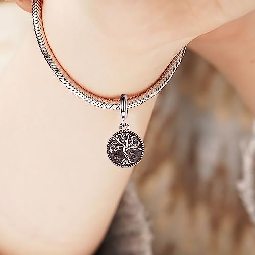 Sterling Silver Cremation Urn Bead Charm for Ashes - S925 Holds Ash Keepsake Pendant Family Tree of Life Memorial Jewelry Gifts for Women Loss Loved One - color: Tree of Life