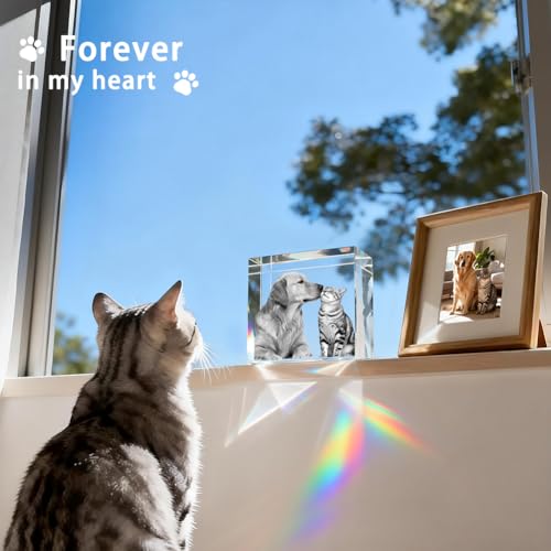 3D Crystal Photo Memorial Gift for Loss of Dog - Personalized Pet Keepsake, Rainbow Bridge Sympathy Gift for Dog Cat Horse Owners, Thoughtful Animal Photo Gift M - size: M：3.54×3.54×1.57in
