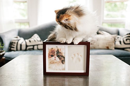Pearhead Pet Memory Box & Urn - Solid Wood, Espresso Finish, Collars - color: Espresso