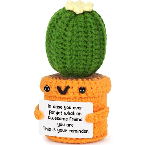 Agantree art Birthday Friend Gifts for Women Best Friend Birthday Long Distance Graduation Friendship Gifts for Woman Her, Sister, Besties, Crochet Cactus Desk Decor Christmas - style: Friend