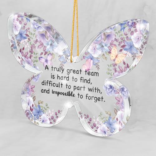 Farewell Gifts for Team Members, Butterfly Keepsake Truly Great Team Wall Hanging, Office Decor for Retiring Colleague, Gift Box Included - color: Forget