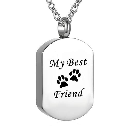 Cremation Jewelry for Ashes for Pet Stainless Steel Keepsake Waterproof Memorial Pendant Ash Holder Paw Print Urn Necklace for Cat Dog's Ashes with Filling Kit