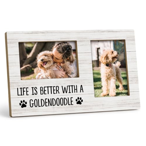 Goldendoodle Gifts Double Picture Frame 4x6, Dog Two Photo Frame - color: color-12