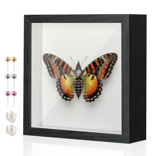 8x8 Shadow Box Frame with Thickened Acrylic Panel & Pins - color: Black+foam Back+foam Packaging, size: 8x8