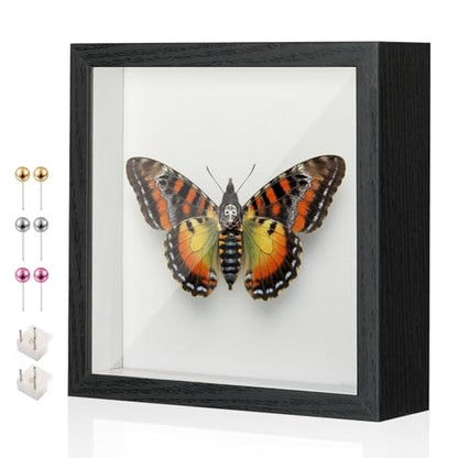 8x8 Shadow Box Frame with Thickened Acrylic Panel & Pins - color: Black+foam Back+foam Packaging, size: 8x8