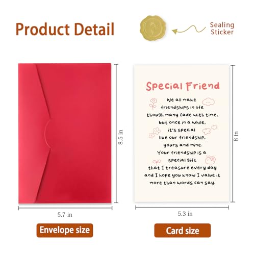 Special Friend Birthday Card Best Friend Gift Meaningful Friendship Card | Heartfelt Birthday Card for Her Him, Thank You for Being in My Life Card for Sister Friend Soulmate with Envelope - color: WY-277