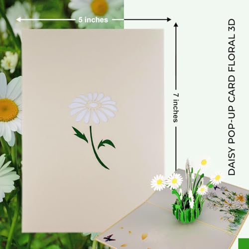 iGifts And Cards White Daisy Bouquet 3D Pop-Up Card in Full Bloom 4.75x6.75 | Spring Floral Keepsake, Mother's Day, Get Well, Sympathy, Birthday For Her, Garden Lover, Wife, Friend, Bouquet Design - color: White Daisies