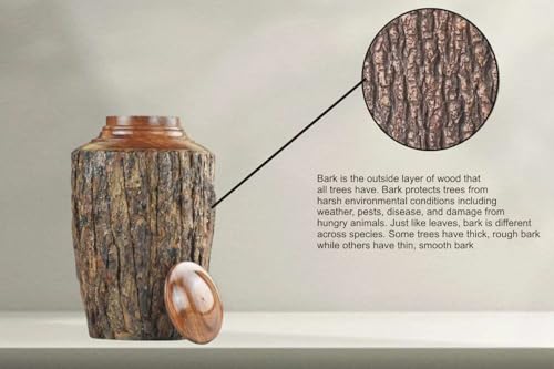 Medium Cremation Urn for Adult Ashes – 80 cu in – Rustic Rosewood Bark Wooden Memorial Urn – Handcrafted Funeral Jar for Human Ashes(small) - size: Small(80cu/in)