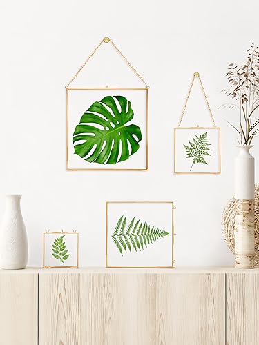 REDHUGO Glass Pressed Flower Frames, Square, Gold, 4x4 Inches - color: Gold, size: 4L" x 4W"