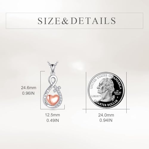 TIGER RIDER Pet Paw Necklace 925 Sterling Silver Cross Infinite love Necklace Pendant Pet Jewelry Gift for Dog Cat Lovers - style: Love