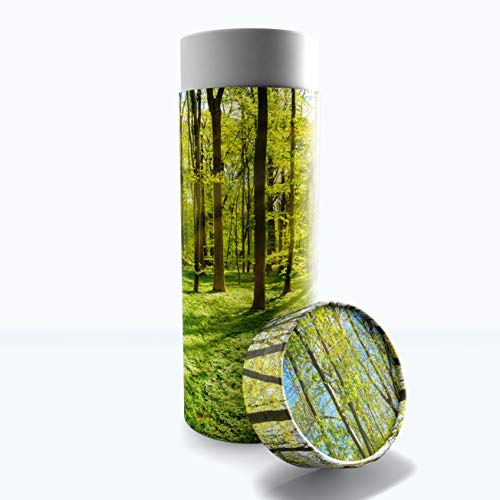 Eco Friendly Emerald Forest Biodegradable Cremation Urns - Adult Ashes Scattering Tube - color: Emerald Forest, size: Medium 10"x4"