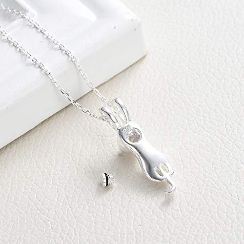 Imrsanl Pet Cremation Jewelry for Ashes Cat Urn Necklace - color: Sterling silver