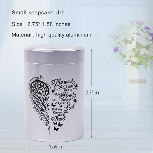 3 Inches Small Urns for Human Ashes Set of 8 Mini Urns for Sharing Small Keepsake Urns Memorial Ashes Holder-Wing - size: Set of 8-heart wing