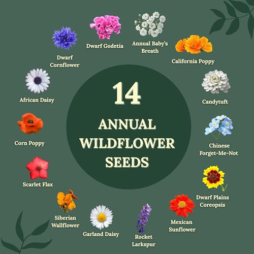 Freebird Wildflower Seeds for Bees & Butterflies - 22 Variety Mix - 4 oz