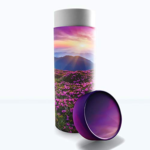 Eco-friendly Biodegradable Urns for Adult Ashes - Scattering Tube - Cremation Urns - color: Heaven on Earth, size: Medium 10"x4"