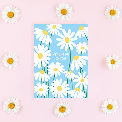 Sweetzer & Orange Thinking of You Cards with Envelopes, Set of 24 Boxed Greeting Cards, 300gsm Note Sheets, (120gsm) Envelopes. Just Because and Kindness designs (Pack of 2) - size: 4x5.5 inches (Pack of 2)
