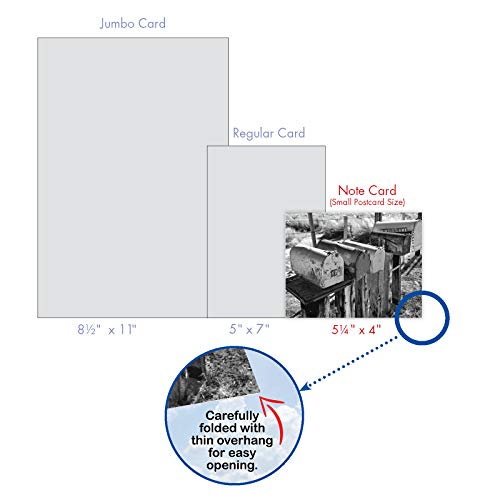 The Best Card Company - 10 Blank Note Cards with Envelopes (4 x 5.12 Inch) - Black & White Photos, Bulk Boxed Set - In the Mail M9681OCB - style: In The Mail