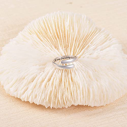 BEILIN 925 Sterling Silver Inspirational Jewelry Rings Adjustable Ring Personality Encouragement Gift for Teens Women - style: A true friendship is a journey without an end