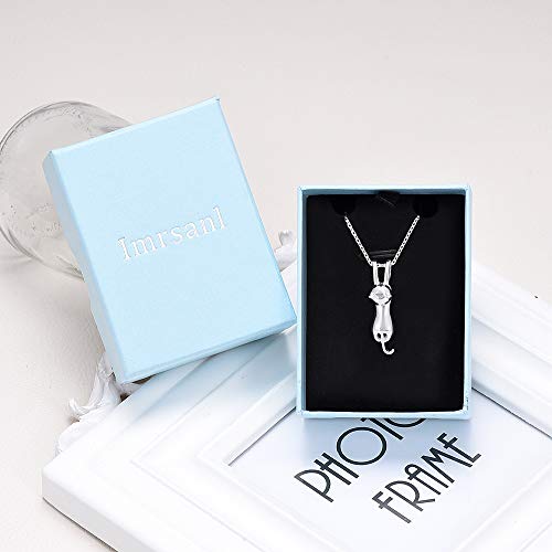 Imrsanl Pet Cremation Jewelry for Ashes Cat Urn Necklace - color: Sterling silver