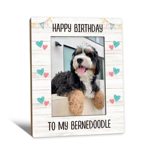 Bernedoodle Dog Birthday Gift Picture Frames 5x7, Dog Photo Frame | Bernedoodle Gifts for Owners, Bernedoodle Dog Birthday Party Wooden Picture Photo Frames for Desk Home Room Decor - color: bernedoodle birthday