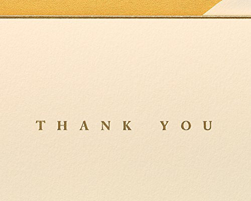 Papyrus Thank You Cards with Envelopes, Gold Border (16-Count) - color: gold, cream